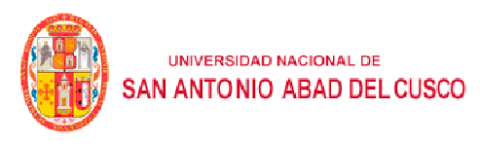 UNSAAC logo